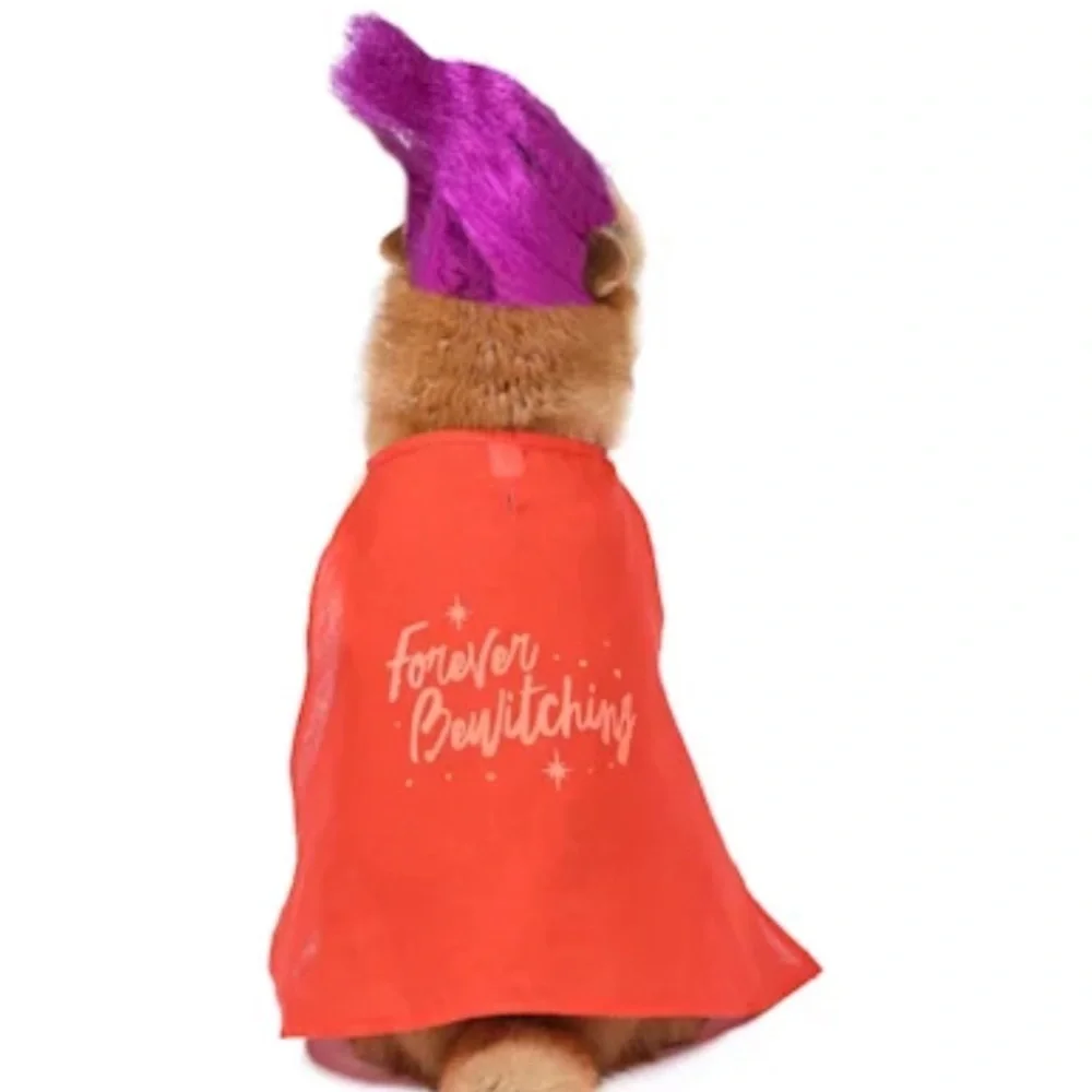 NWT Disney Mary Sanderson Dog Costume
